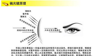 時(shí)尚與運(yùn)動(dòng)的完美結(jié)合 特別推薦GD100太陽(yáng)眼鏡套裝